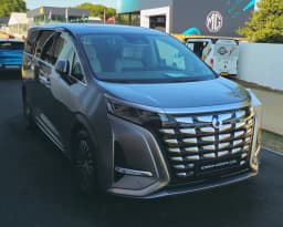 Denza D9
